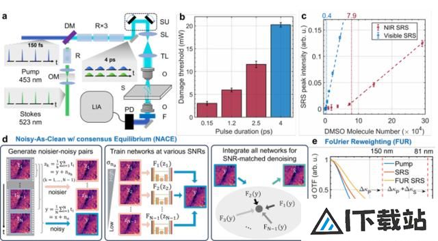 科学家用AI开发受激拉曼纳米成像技术,分辨率可达86纳米 科学家用AI开发受激拉曼纳米成像技术,分辨率可达86纳米
