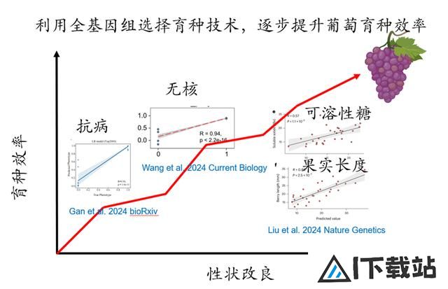 我国科学家提出人工智能推动葡萄育种新方法 我国科学家提出人工智能推动葡萄育种新方法