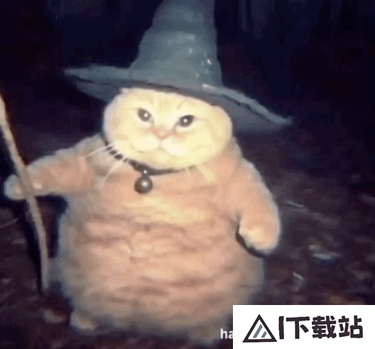 让千万网友着迷的 AI 巫师猫,凭什么成为小红书和 Instagram 的新顶流 让千万网友着迷的 AI 巫师猫,凭什么成为小红书和 Instagram 的新顶流