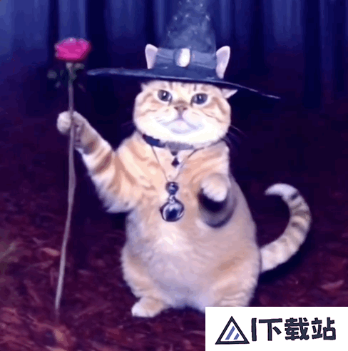 让千万网友着迷的 AI 巫师猫,凭什么成为小红书和 Instagram 的新顶流 让千万网友着迷的 AI 巫师猫,凭什么成为小红书和 Instagram 的新顶流