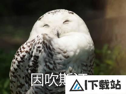 8岁女孩用AI编程工具45分钟造聊天机器人,Cursor引爆全网 8岁女孩用AI编程工具45分钟造聊天机器人,Cursor引爆全网