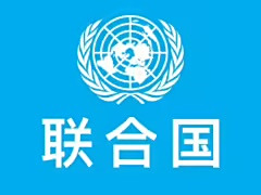 联合国大会决定设立人工智能独立国际科学小组与全球人工智能治理对话机制